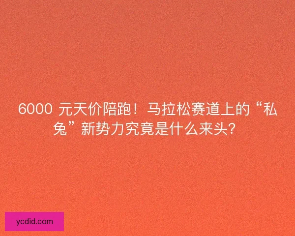 6000 元天价陪跑！马拉松赛道上的 “私兔” 新势力究竟是什么来头？